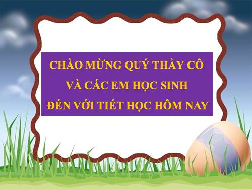 Bài 20. Thêm hình ảnh để minh họa