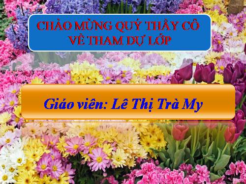 Bài 11. Tổ chức thông tin trong máy tính