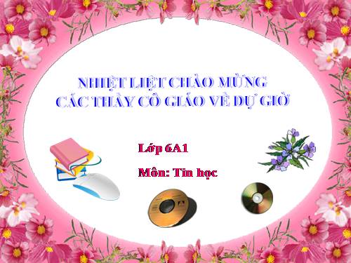 Bài 11. Tổ chức thông tin trong máy tính