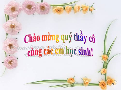 Bài 11. Tổ chức thông tin trong máy tính