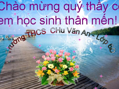 Bài 21. Trình bày cô đọng bằng bảng