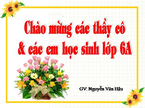 Bài 19. Tìm kiếm và thay thế