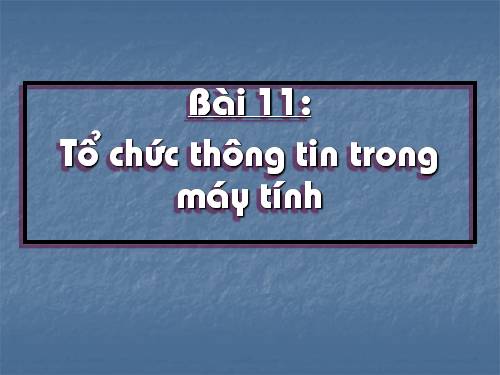 Bài 11. Tổ chức thông tin trong máy tính