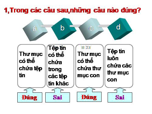 Bài 11. Tổ chức thông tin trong máy tính