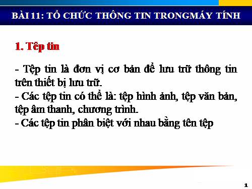 Bài 11. Tổ chức thông tin trong máy tính