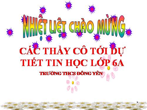 Bài 19. Tìm kiếm và thay thế