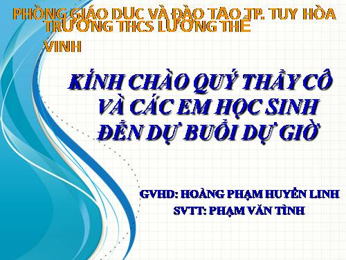 Bài 19. Tìm kiếm và thay thế