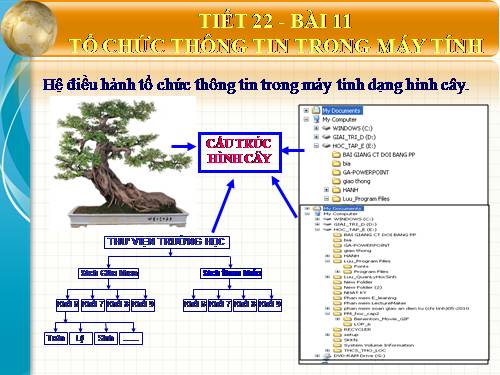 Bài 11. Tổ chức thông tin trong máy tính