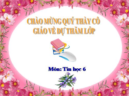 Bài 11. Tổ chức thông tin trong máy tính