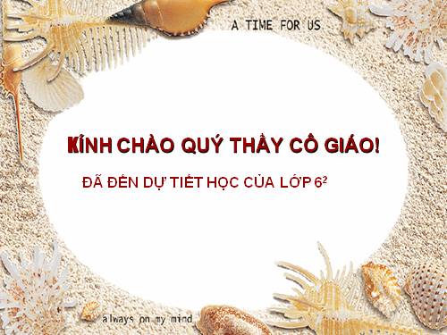 Bài 11. Tổ chức thông tin trong máy tính