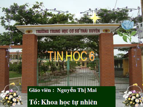 Bài 6. Học gõ mười ngón