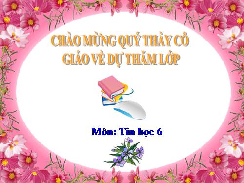 Bài 11. Tổ chức thông tin trong máy tính