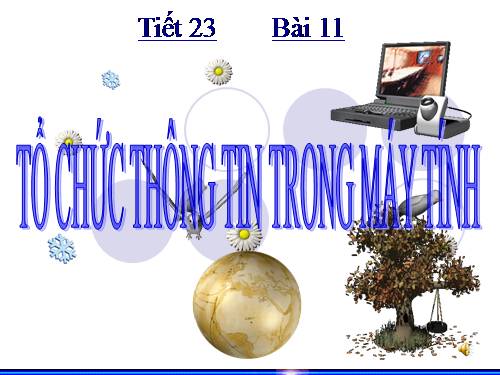 Bài 11. Tổ chức thông tin trong máy tính