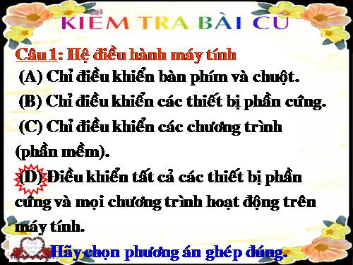 Bài 11. Tổ chức thông tin trong máy tính