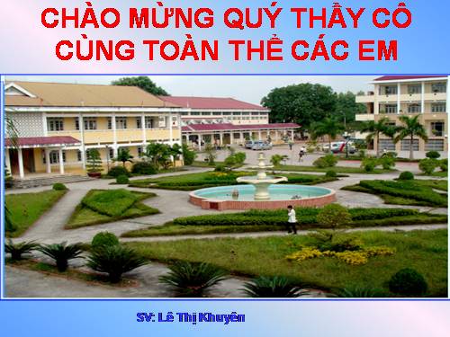 Bài 19. Tìm kiếm và thay thế