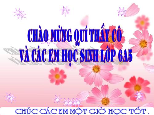 Bài 20. Thêm hình ảnh để minh họa