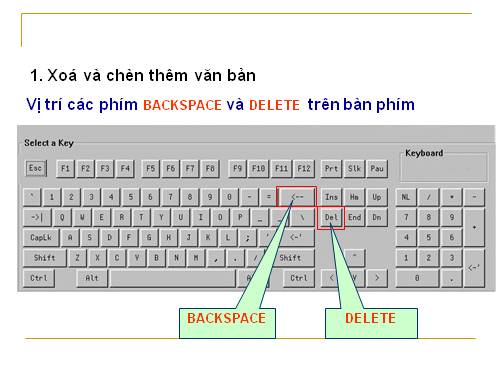 Bài 15. Chỉnh sửa văn bản