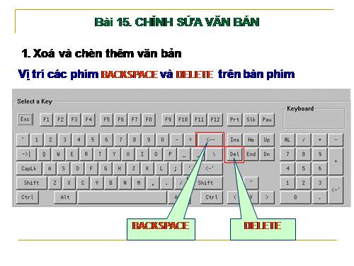 Bài 15. Chỉnh sửa văn bản