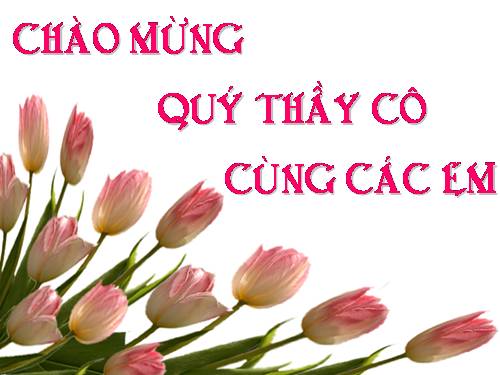 Bài 11. Tổ chức thông tin trong máy tính