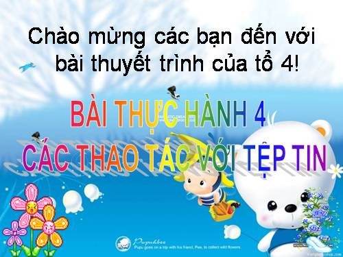 Bài thực hành 4. Các thao tác với tệp tin