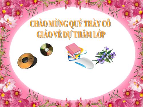 Bài 11. Tổ chức thông tin trong máy tính