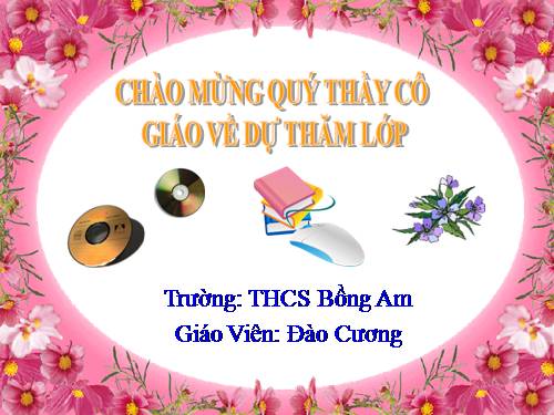 Bài 11. Tổ chức thông tin trong máy tính