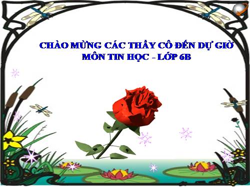 Bài 5. Luyện tập chuột