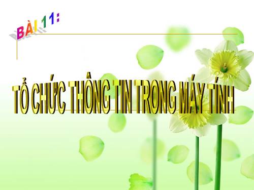 Bài 11. Tổ chức thông tin trong máy tính