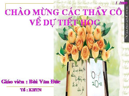 Bài 15. Chỉnh sửa văn bản