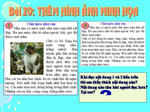 Bài 20. Thêm hình ảnh để minh họa