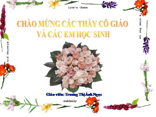 Bài 21. Trình bày cô đọng bằng bảng