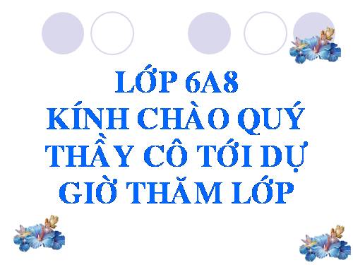 Bài 14. Soạn thảo văn bản đơn giản