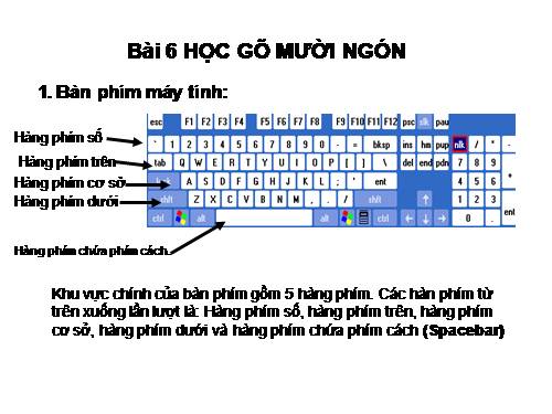 Bài 6. Học gõ mười ngón