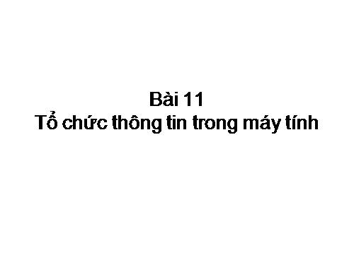 Bài 11. Tổ chức thông tin trong máy tính