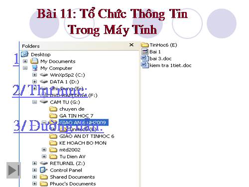 Bài 11. Tổ chức thông tin trong máy tính