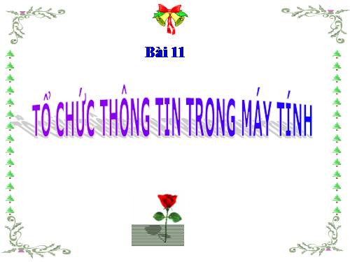 Bài 11. Tổ chức thông tin trong máy tính