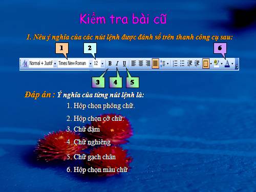 Bài 17. Định dạng đoạn văn bản