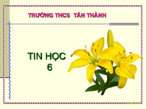 Bài 1. Thông tin và tin học