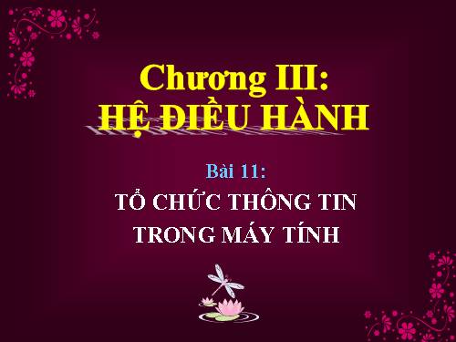 Bài 11. Tổ chức thông tin trong máy tính