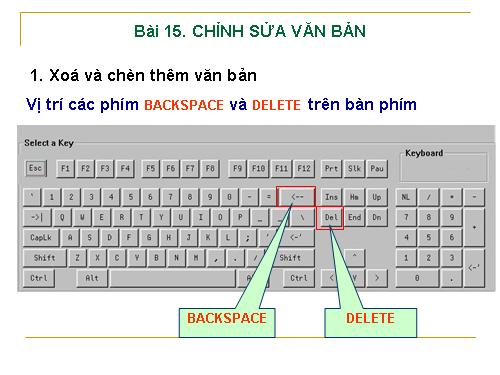 Bài 15. Chỉnh sửa văn bản