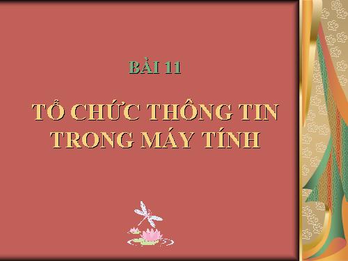 Bài 11. Tổ chức thông tin trong máy tính