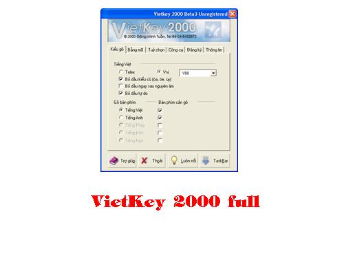 VietKey 2000 Full