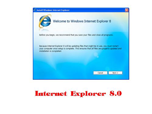 Internet Explorer 8.0