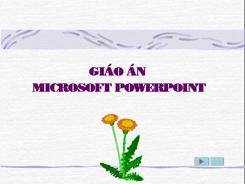 Tự học POWERPOINT 2003