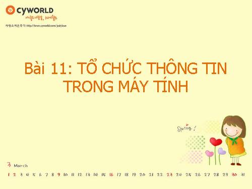 Bài 11. Tổ chức thông tin trong máy tính