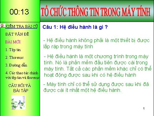 Bài 11. Tổ chức thông tin trong máy tính