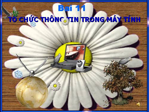 Bài 11. Tổ chức thông tin trong máy tính