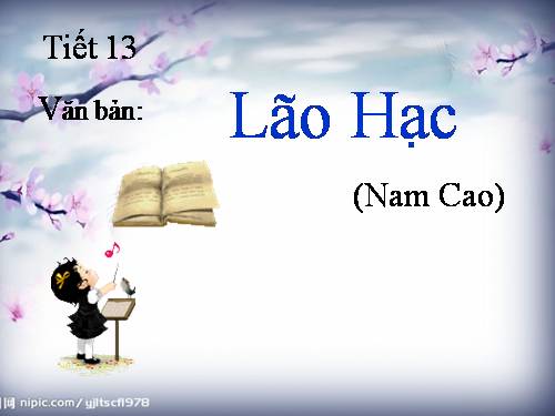 Bài 4. Lão Hạc