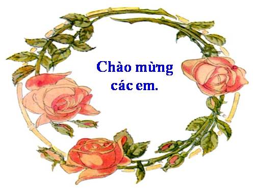 Bài 21. Câu trần thuật