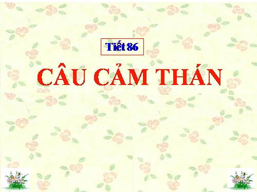 Bài 21. Câu cảm thán